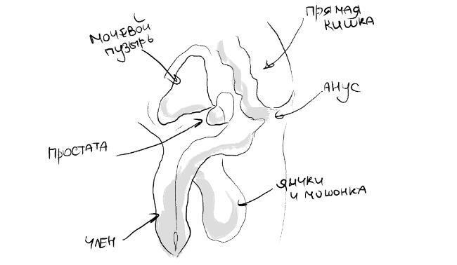 Уютный секс. Просто и легко о прекрасной части нашей жизни