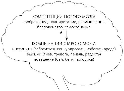 Любовь живет вечно. Как преодолевать сложности и сохранять близость в длительных отношениях