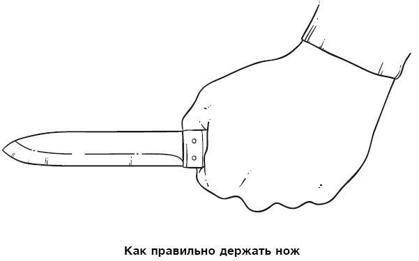 Бушкрафт 101. Современное руководство по искусству выживания в дикой природе