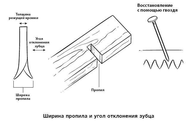 Бушкрафт 101. Современное руководство по искусству выживания в дикой природе