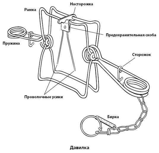 Бушкрафт 101. Современное руководство по искусству выживания в дикой природе