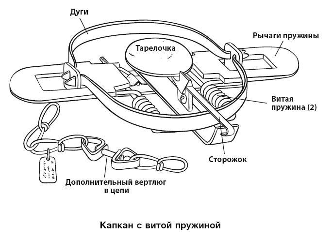 Бушкрафт 101. Современное руководство по искусству выживания в дикой природе