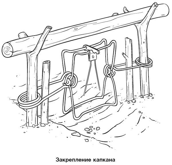 Бушкрафт 101. Современное руководство по искусству выживания в дикой природе