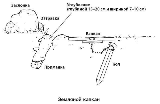 Бушкрафт 101. Современное руководство по искусству выживания в дикой природе