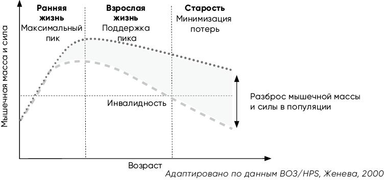 Код долголетия. 12 понятных и доступных способов сохранить здоровье, ясность ума и привлекательность на долгие годы