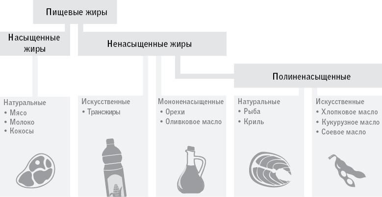 Код долголетия. 12 понятных и доступных способов сохранить здоровье, ясность ума и привлекательность на долгие годы