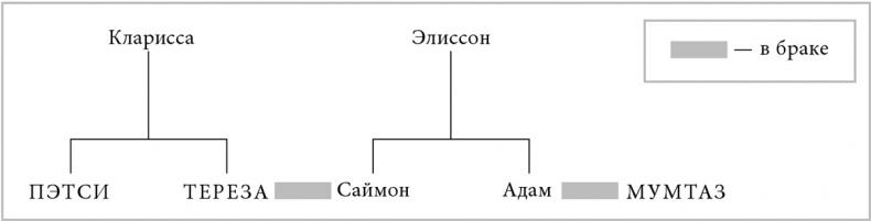 Почему женщины носят то, что они носят