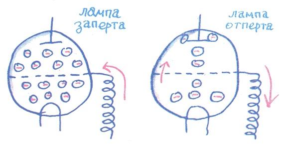 Лекции профессора Чайникова