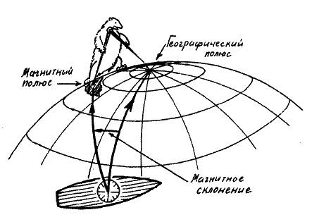 Фрегат "Звенящий"