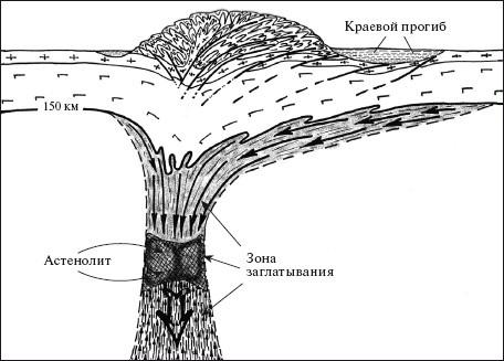 Верхом на бомбе. Судьба планеты Земля и ее обитателей