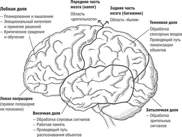 Мой ребенок - интроверт. Как выявить скрытые таланты и подготовить к жизни в обществе