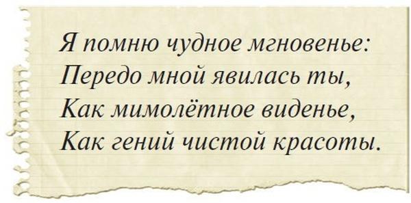 Боцман, бурундук, кот и крыса. Сказка для детей и всех остальных