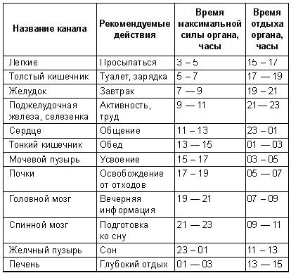 Школа лентяев, или Тибетская оздоровительная гимнастика для внутренних органов