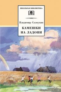 Книга « Камешки на ладони » - читать онлайн