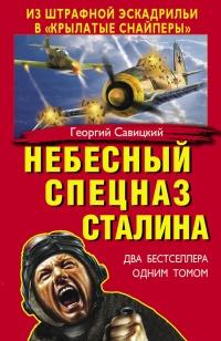 Книга « Небесный спецназ Сталина. Из штрафной эскадрильи в «крылатые снайперы» » - читать онлайн