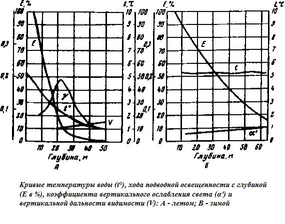 Подводная одиссея. "Северянка" штурмует океан