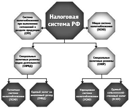 Специальные налоговые режимы: УСНО, ЕНВД, ПНСН, ЕСХН. Как выжать максимум?