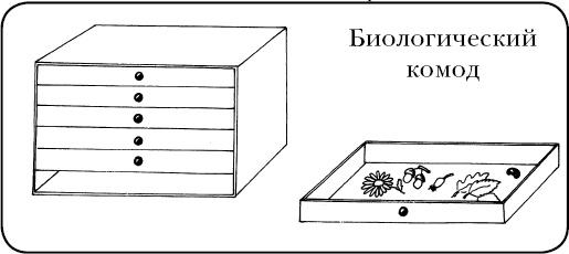 Помоги мне это сделать самому