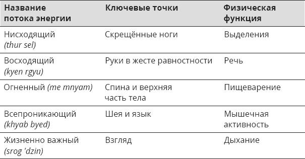 Указывая великий путь. Махамудра. Этапы медитации