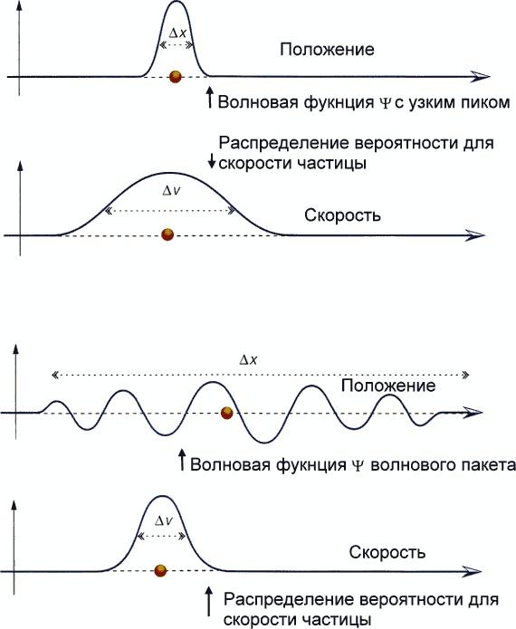 Мир в ореховой скорлупке