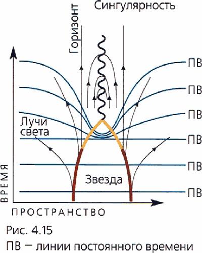 Мир в ореховой скорлупке