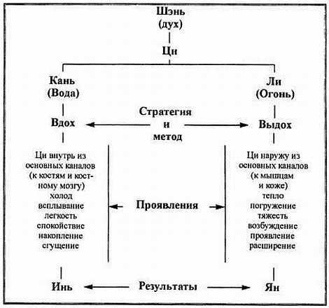 Цигун. Изменения мышц и сухожилий промывания костного и головного мозга. Секреты молодости