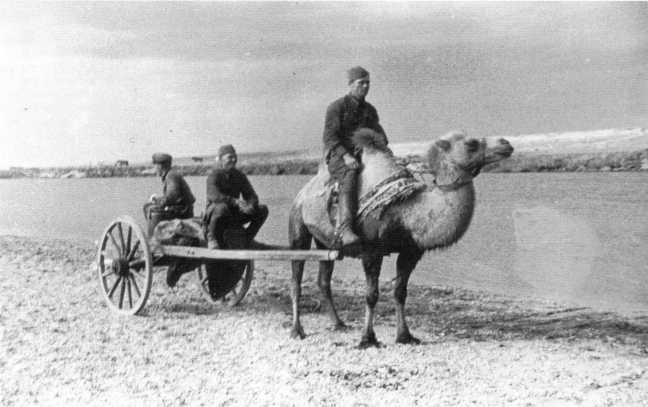 Танки на Халхин-Голе. Необъявленная война Сталина