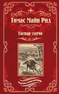 Книга « Гаспар-гаучо. Затерявшаяся гора » - читать онлайн