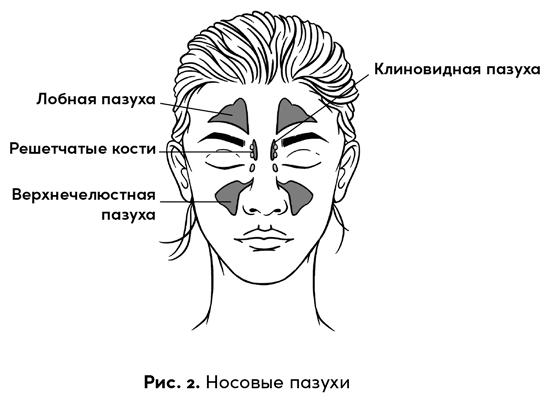 Боль в твоей голове. Откуда она берется и как от нее избавиться